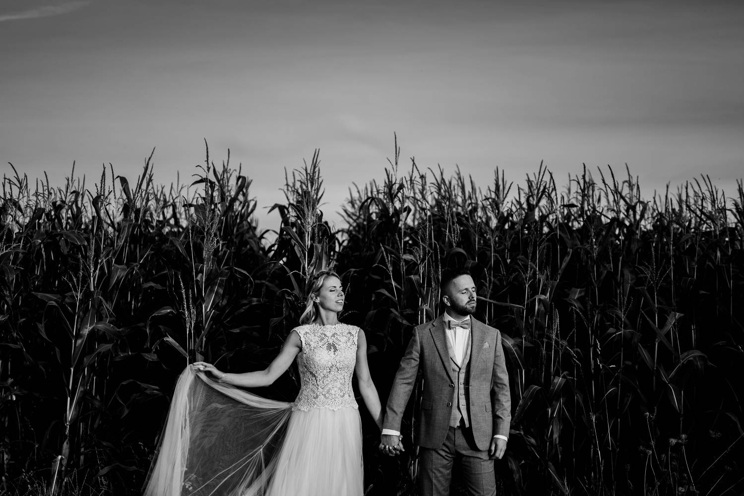 trouwen zuidlaren, maisveld, bruiloft, fotoshoot, trouwfotograaf Drenthe